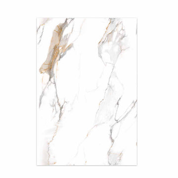 Sophisticated Charcoal High-Gloss PET Marble Wall Cladding | 1220 x 2440 x 8mm (Pack of 2)