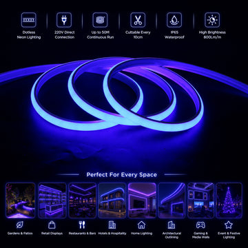50M FCOB Neon Rope Light Kit, 10W/M, 800Lm/M, Blue with 1 power cord, 25 Holders and 10 end caps