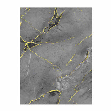 High-Gloss PET Charcoal Panel with Gilded Gray Marble Design (Pack of 2)