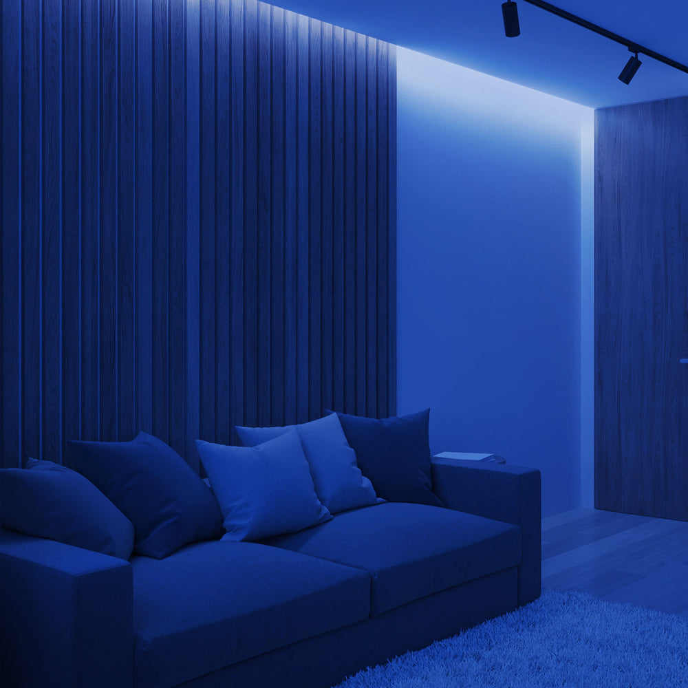 Ener-J COB LED Strip Light 5m Blue 24V 320 LED Per Metre RF Dimmer Power Supply